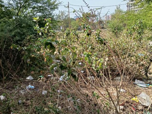 Residential Plot in Bawadiya Kalan for resale Bhopal. The reference number is 19112942