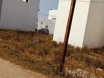 Residential Plot in Bawadiya Kalan for resale Bhopal. The reference number is 19166599