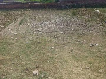 Selva Ridge Estate, Paud Road, Pune, Pune District, Maharashtra