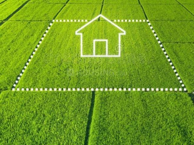 Residential Plot in Bavla for resale Ahmedabad. The reference number is 20725112