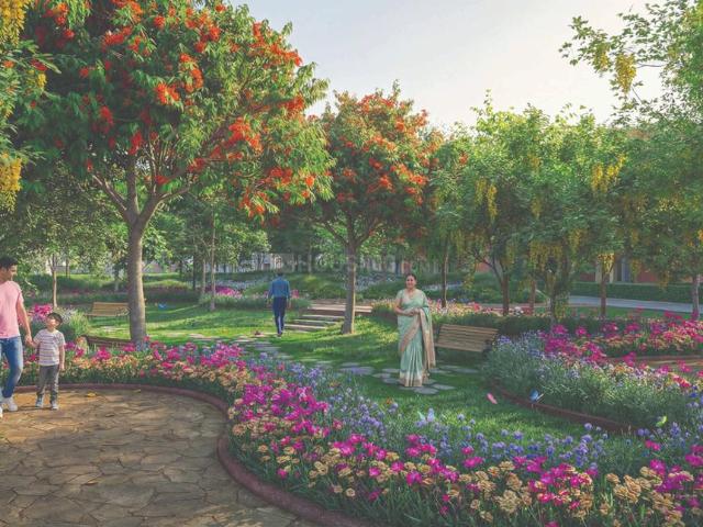 Residential Plot in Bavla for resale Ahmedabad. The reference number is 20776637