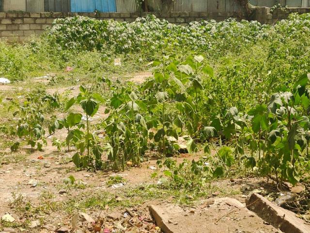 Residential Plot in Begur for resale Bengaluru. The reference number is 21336356