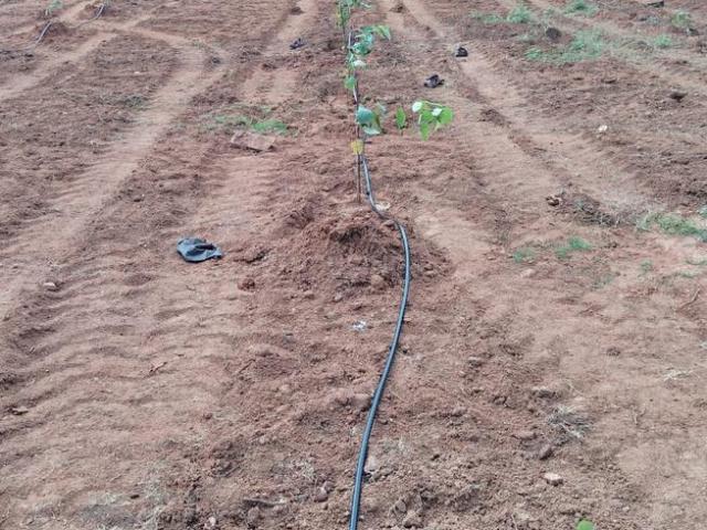 Residential Plot in Beeramguda for resale Sangareddy. The reference number is 21332067
