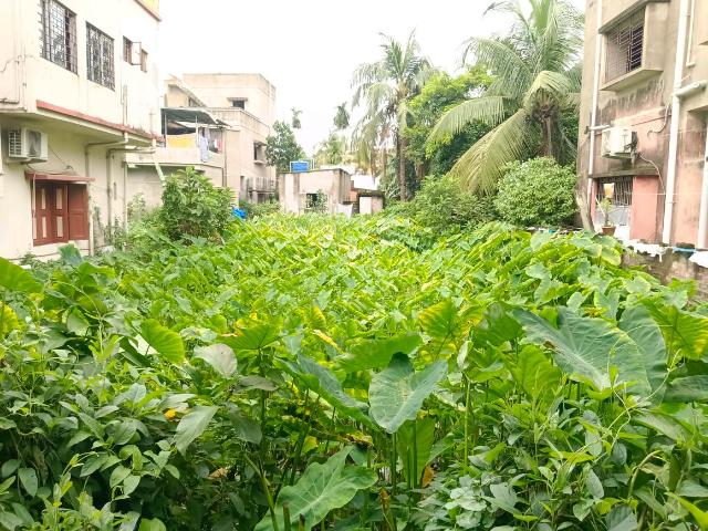 Residential Plot in Maheshtala for resale Kolkata. The reference number is 20936675