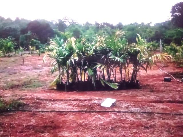 Residential Plot in Belondakhar for resale Navi Mumbai. The reference number is 17697759
