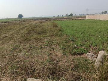 Patna District, Jharkhand