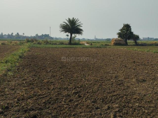 Residential Plot in Beldari Chak for resale Patna. The reference number is 19598051