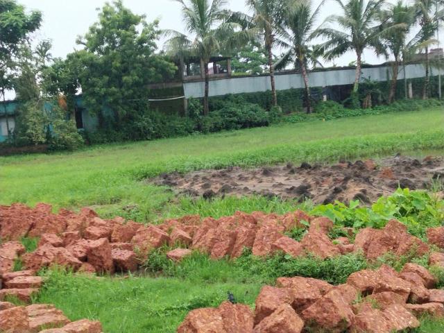 Residential Plot in Benupur for resale Bhubaneswar. The reference number is 20698744