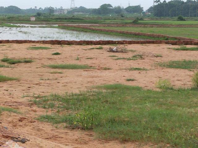 Residential Plot in Benupur for resale Bhubaneswar. The reference number is 20702650
