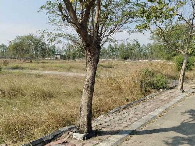 Residential Plot in Betma for resale Indore. The reference number is 19033094