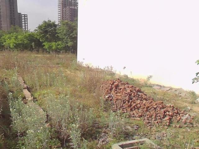Residential Plot in Beta I for resale Greater Noida. The reference number is 20979206
