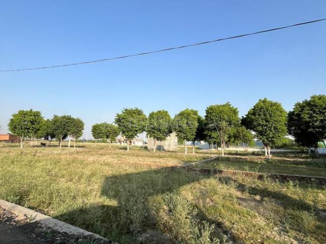 Residential Plot in Bhanauta for resale Greater Noida. The reference number is 21136668