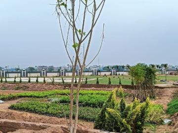 Land for sale in Panchkula District