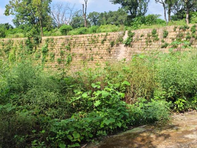 Residential Plot in Bhagwant Pur for resale Dehradun. The reference number is 20915212