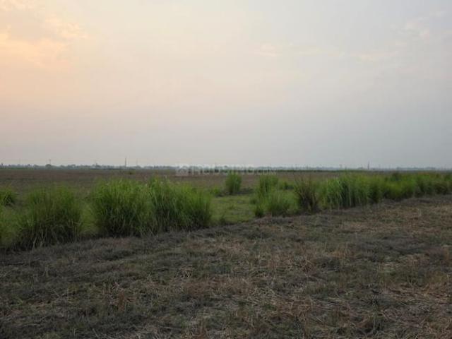 Residential Plot in Bhairopur for resale Chhapra. The reference number is 20504216