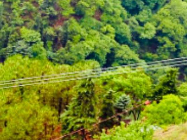 Residential Plot in Bhatta Gaon for resale Mussoorie. The reference number is 20591832
