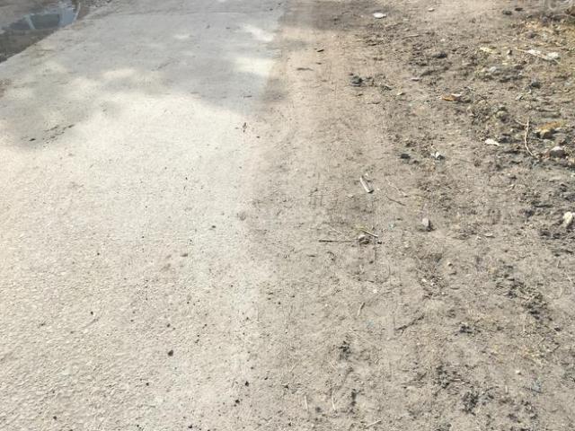 Residential Plot in Bhatinda for resale Jodhpur. The reference number is 21063952