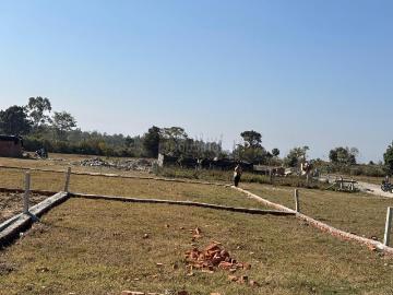Bhauwala, Rampur Bhauwala, Dehradun District, Uttarakhand