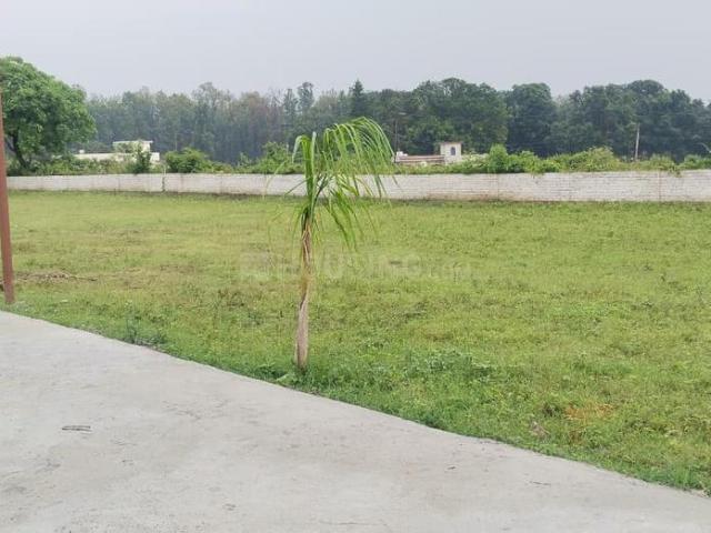 Residential Plot in Bhauwala for resale Dehradun. The reference number is 20598546