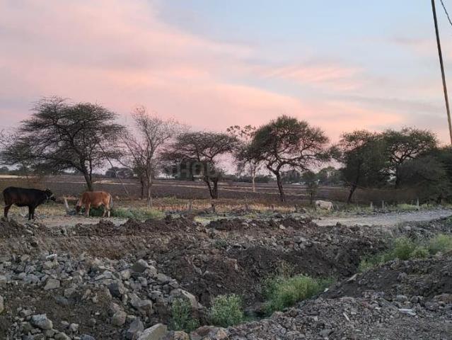 Residential Plot in Bhawrasla for resale Indore. The reference number is 20469810