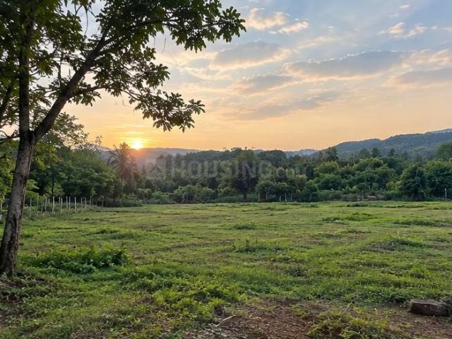 Residential Plot in Bhayandar West for resale Mira Bhayandar. The reference number is 21173187
