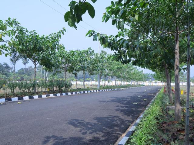 Residential Plot in Bheemunipatnam for resale Visakhapatnam. The reference number is 19870826