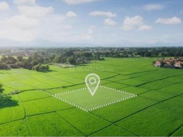 Residential Plot in Bhirawati for resale Mewat. The reference number is 21324056