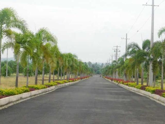 Residential Plot in Bhogapuram for resale Visakhapatnam. The reference number is 20793114
