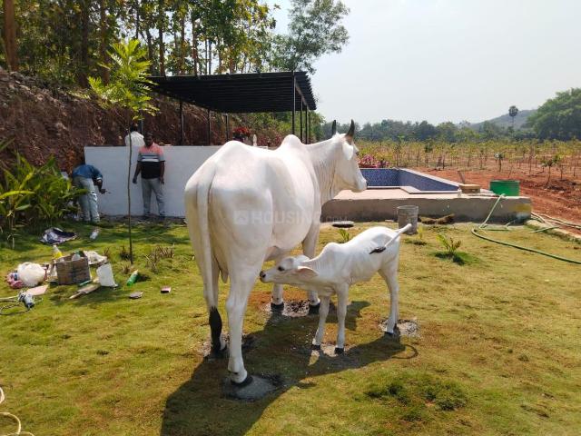 Residential Plot in Bhogapuram for resale Visakhapatnam. The reference number is 20957977