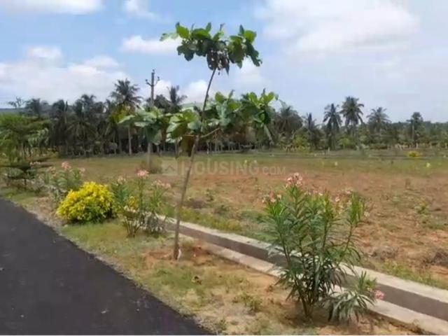 Residential Plot in Bhogapuram for resale Visakhapatnam. The reference number is 21094144