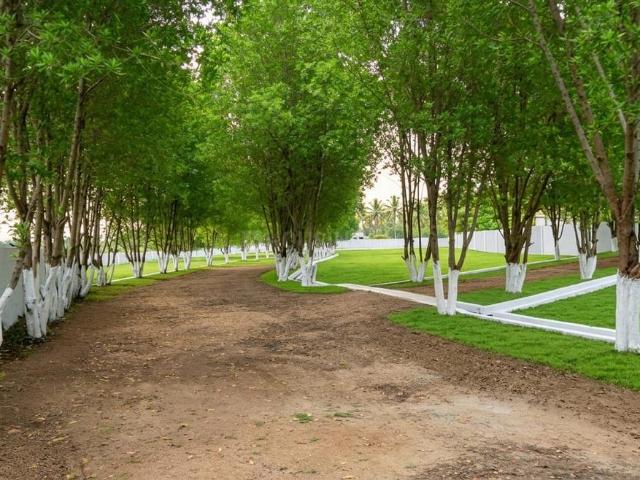 Residential Plot in Bhogapuram for resale Visakhapatnam. The reference number is 21123124