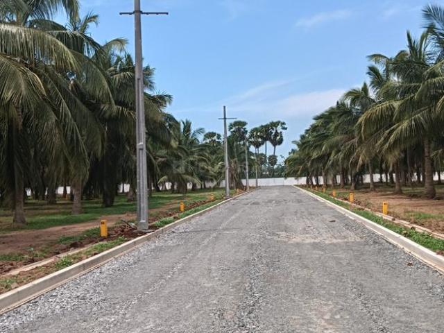 Residential Plot in Bhogapuram for resale Vizianagaram. The reference number is 20813684