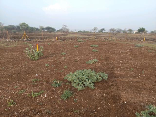 Residential Plot in Bhor for resale Pune. The reference number is 20195625