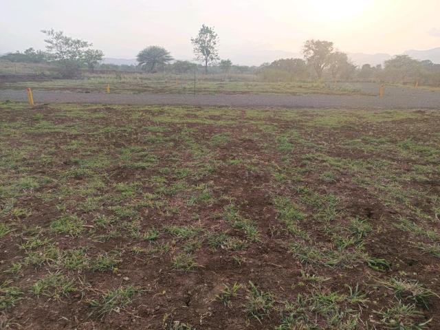 Residential Plot in Bhor for resale Pune. The reference number is 20195739