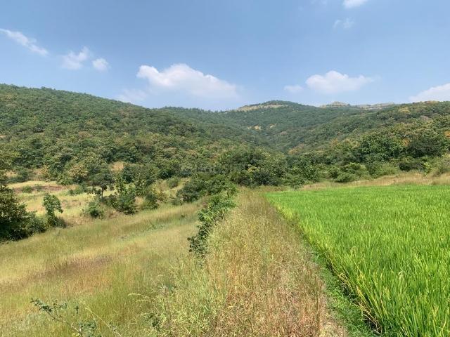 Residential Plot in Bhor for resale Pune. The reference number is 21328187