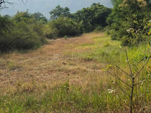 Residential Plot in Bhor for resale Pune. The reference number is 21341609