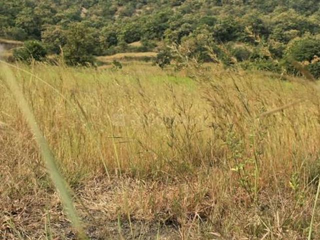 Residential Plot in Bhor for resale Pune. The reference number is 21343542