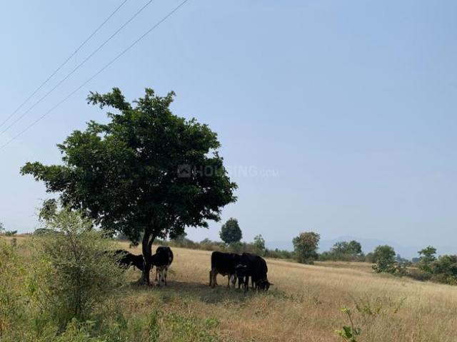 Residential Plot in Bhor for resale Pune. The reference number is 21369935