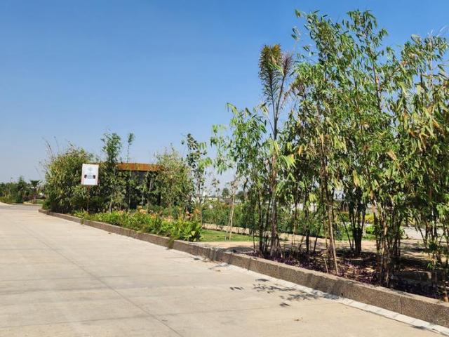 Residential Plot in Bicholi Hapsi for resale Indore. The reference number is 21264962