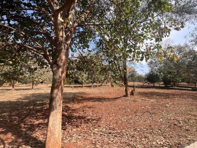 Residential Plot in Bidadi for resale Bengaluru. The reference number is 19083035