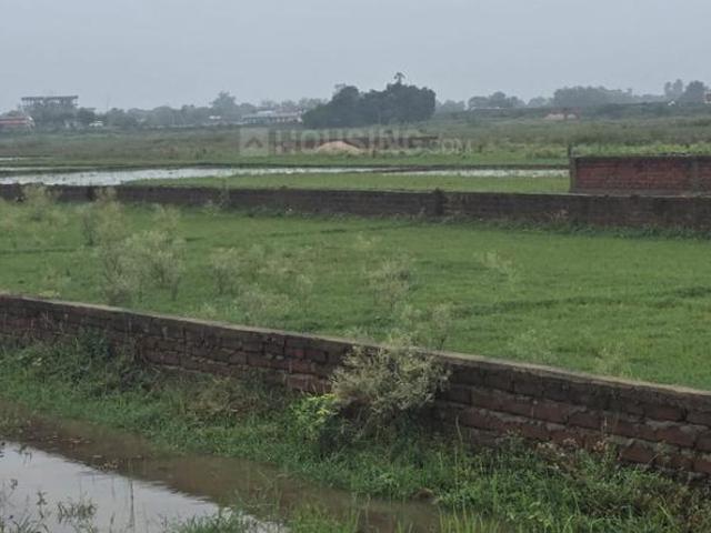 Residential Plot in Bihta for resale Patna. The reference number is 20820788
