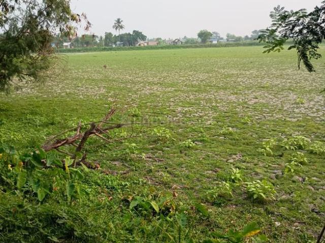 Residential Plot in Bipadbhanjan Colony for resale Kolkata. The reference number is 21009727