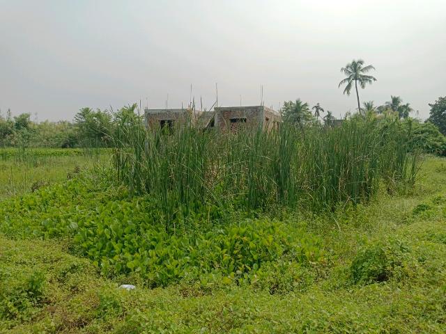 Residential Plot in Bipadbhanjan Colony for resale Kolkata. The reference number is 21284849