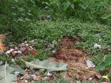 Residential Plot in Birati for resale Kolkata. The reference number is 6431409