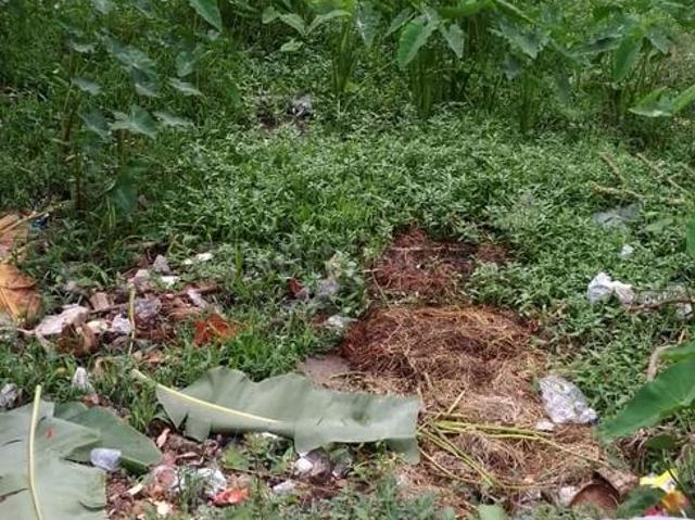 Residential Plot in Birati for resale Kolkata. The reference number is 6431409