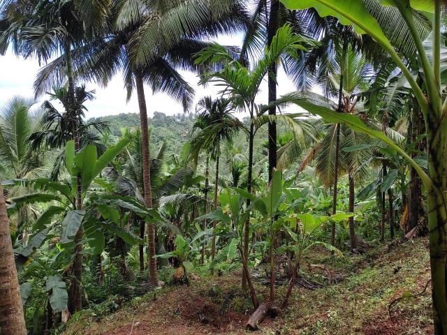 Residential Plot in Bondel for resale Mangalore. The reference number is 20041966