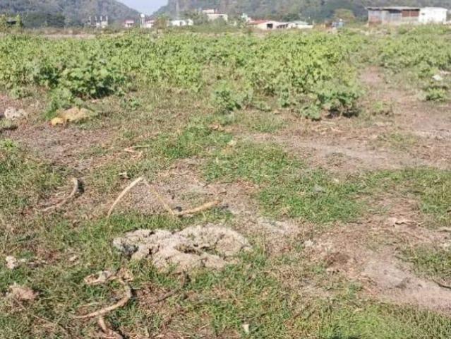 Residential Plot in Boragaon for resale Guwahati. The reference number is 19396410