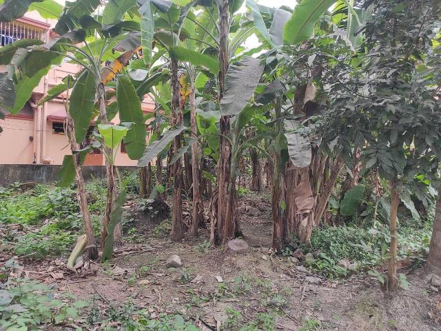 Residential Plot in Boral for resale Kolkata. The reference number is 8204110
