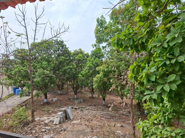 Residential Plot in Boriwali for resale Thane. The reference number is 20500962