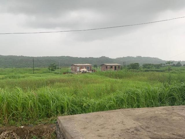 Residential Plot in Bori Bk for resale Navi Mumbai. The reference number is 21306311